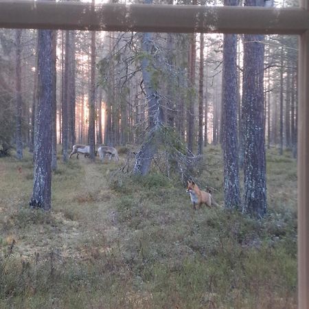Yllaes Nilimaja Leilighet Ylläsjärvi Eksteriør bilde